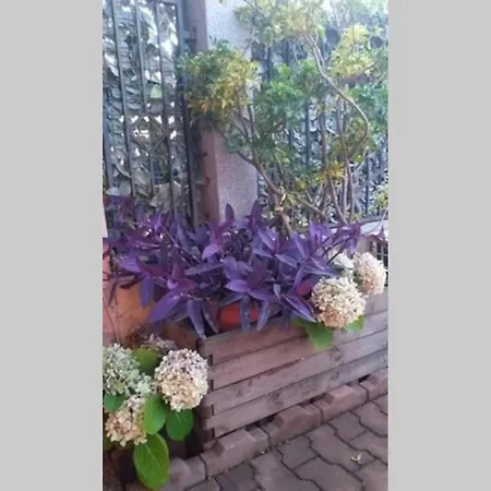 Casa Onaori Nyaraló